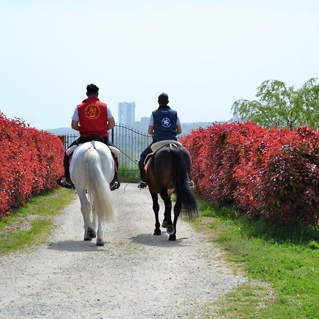 Vento Barocco - Equitazione E Turismo Villa Матера Екстериор снимка