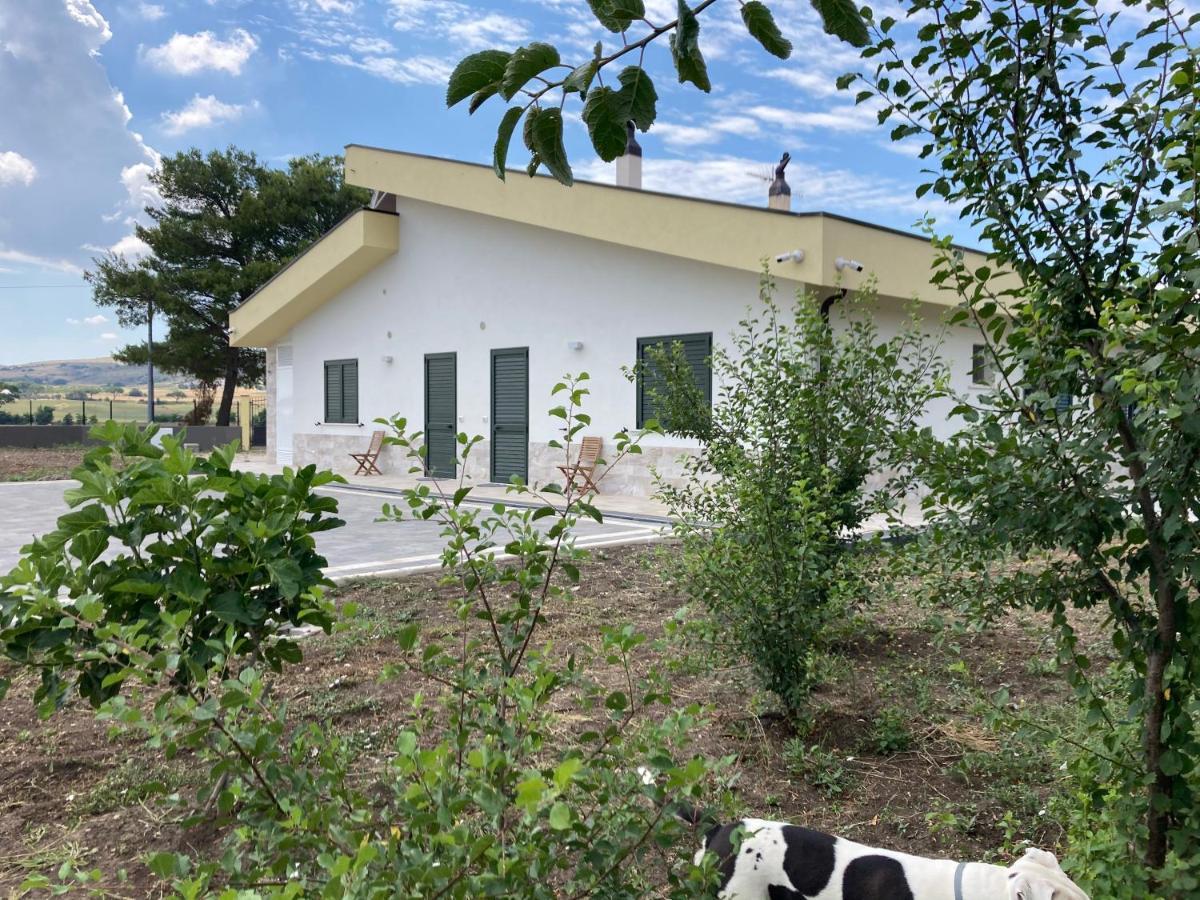 Vento Barocco - Equitazione E Turismo Villa Матера Екстериор снимка