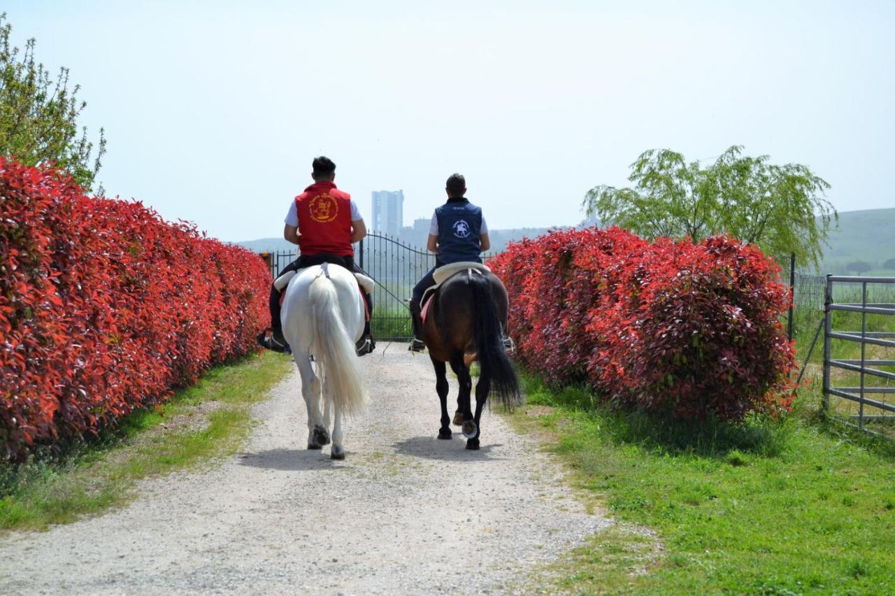 Vento Barocco - Equitazione E Turismo Villa Матера Екстериор снимка